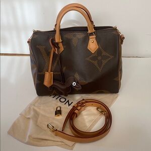 Louis Vuitton giant monogram reverse speedy 30B